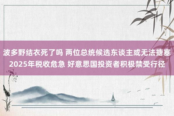 波多野结衣死了吗 两位总统候选东谈主或无法搪塞2025年税收危急 好意思国投资者积极禁受行径