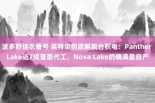 波多野结衣番号 英特尔但愿解脱台积电：Panther Lake近7成里面代工，Nova Lake的确满盈自产