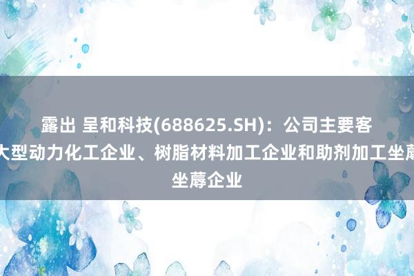 露出 呈和科技(688625.SH)：公司主要客户为大型动力化工企业、树脂材料加工企业和助剂加工坐蓐企业