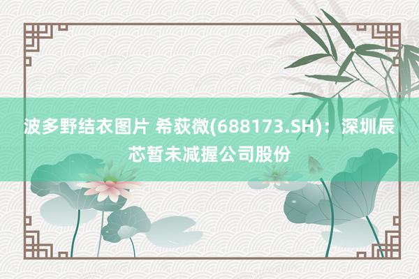 波多野结衣图片 希荻微(688173.SH)：深圳辰芯暂未减握公司股份