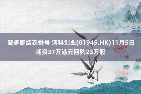 波多野结衣番号 清科创业(01945.HK)11月5日耗资37万港元回购23万股