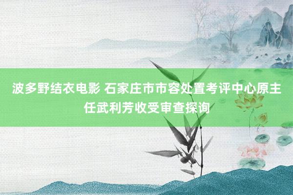 波多野结衣电影 石家庄市市容处置考评中心原主任武利芳收受审查探询