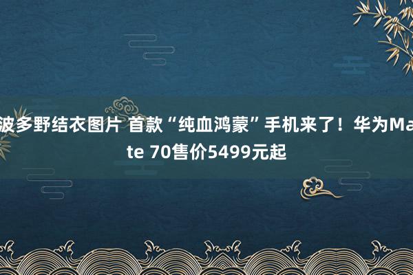 波多野结衣图片 首款“纯血鸿蒙”手机来了！华为Mate 70售价5499元起