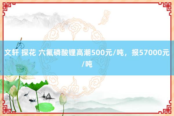 文轩 探花 六氟磷酸锂高潮500元/吨，报57000元/吨