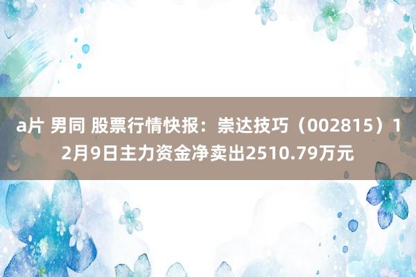 a片 男同 股票行情快报：崇达技巧（002815）12月9日主力资金净卖出2510.79万元