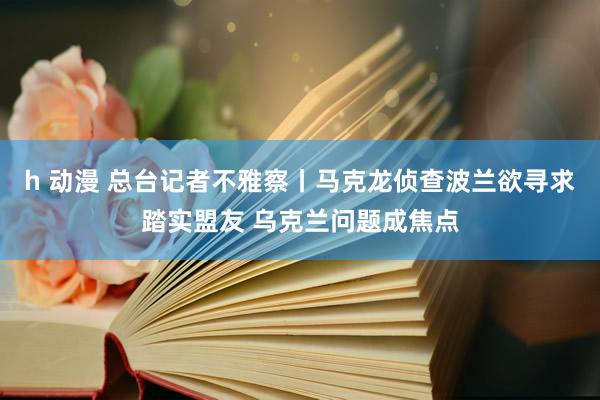 h 动漫 总台记者不雅察丨马克龙侦查波兰欲寻求踏实盟友 乌克兰问题成焦点