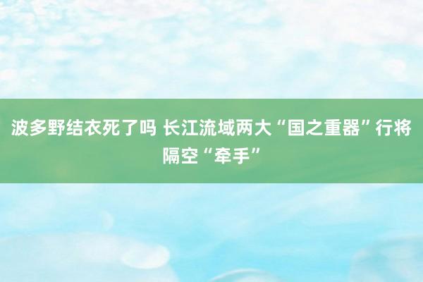 波多野结衣死了吗 长江流域两大“国之重器”行将隔空“牵手”