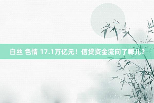 白丝 色情 17.1万亿元！信贷资金流向了哪儿？