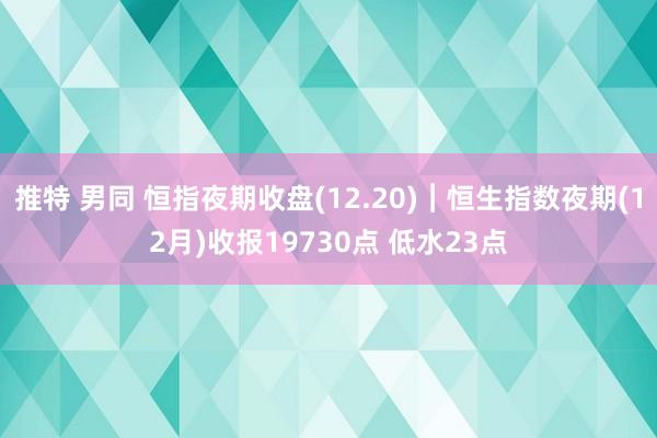 推特 男同 恒指夜期收盘(12.20)︱恒生指数夜期(12月)收报19730点 低水23点