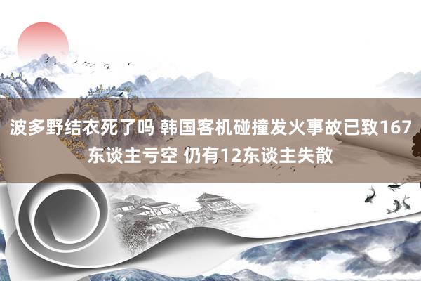 波多野结衣死了吗 韩国客机碰撞发火事故已致167东谈主亏空 仍有12东谈主失散