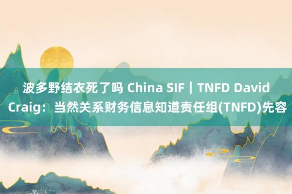 波多野结衣死了吗 China SIF｜TNFD David Craig：当然关系财务信息知道责任组(TNFD)先容