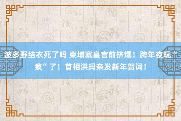 波多野结衣死了吗 柬埔寨皇宫前挤爆！跨年夜玩“疯”了！首相洪玛奈发新年贺词！