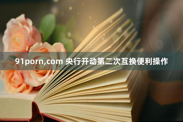 91porn，com 央行开动第二次互换便利操作