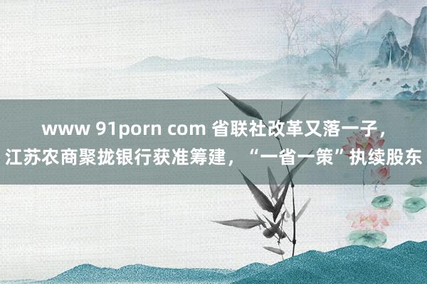 www 91porn com 省联社改革又落一子，江苏农商聚拢银行获准筹建，“一省一策”执续股东