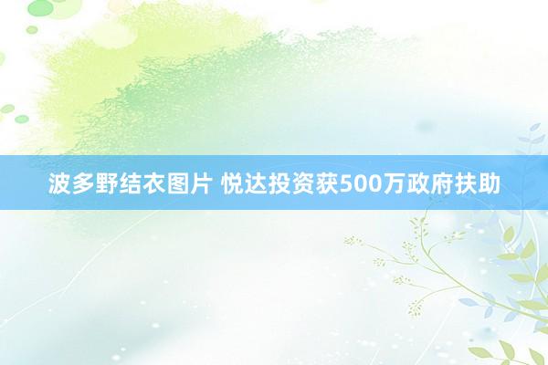 波多野结衣图片 悦达投资获500万政府扶助