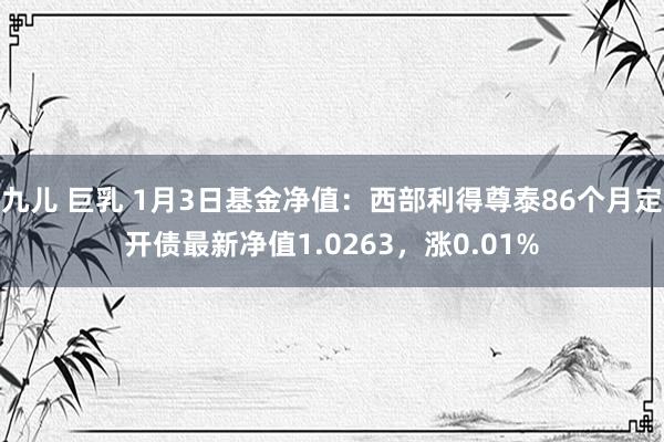 九儿 巨乳 1月3日基金净值：西部利得尊泰86个月定开债最新净值1.0263，涨0.01%