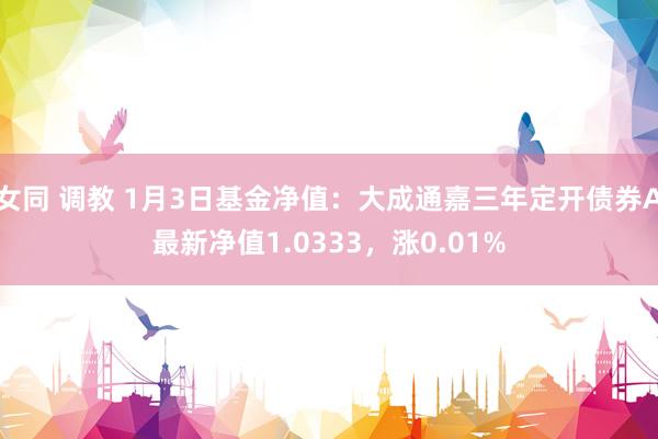 女同 调教 1月3日基金净值：大成通嘉三年定开债券A最新净值1.0333，涨0.01%