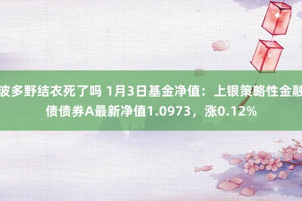 波多野结衣死了吗 1月3日基金净值：上银策略性金融债债券A最新净值1.0973，涨0.12%