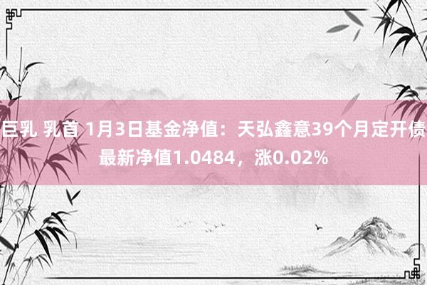 巨乳 乳首 1月3日基金净值：天弘鑫意39个月定开债最新净值1.0484，涨0.02%