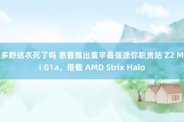 波多野结衣死了吗 惠普推出寰宇最强迷你职责站 Z2 Mini G1a，搭载 AMD Strix Halo