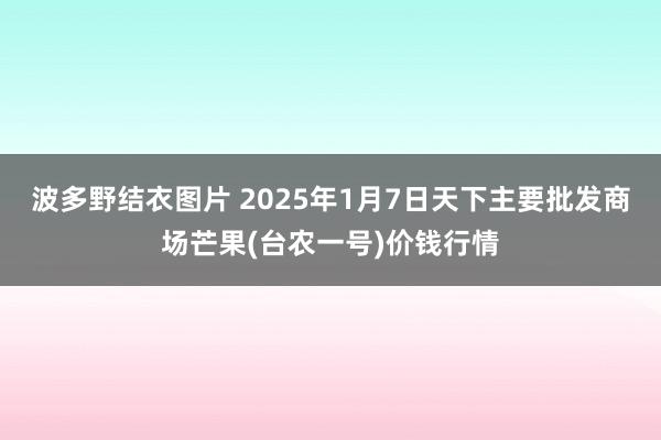 波多野结衣图片 2025年1月7日天下主要批发商场芒果(台农一号)价钱行情