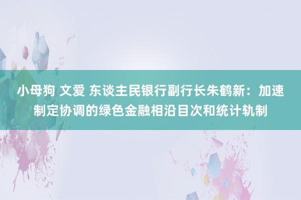 小母狗 文爱 东谈主民银行副行长朱鹤新：加速制定协调的绿色金融相沿目次和统计轨制