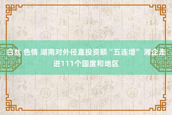 白丝 色情 湖南对外径直投资额“五连增” 湘企走进111个国度和地区