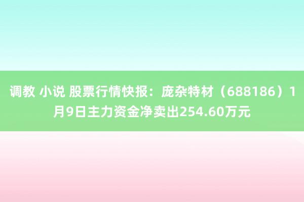 调教 小说 股票行情快报：庞杂特材（688186）1月9日主力资金净卖出254.60万元