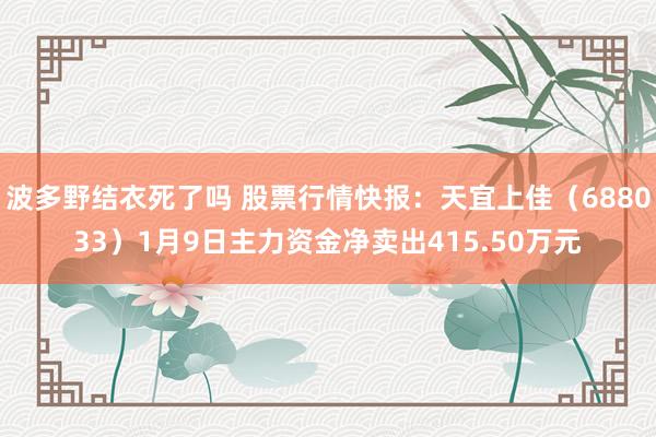 波多野结衣死了吗 股票行情快报：天宜上佳（688033）1月9日主力资金净卖出415.50万元