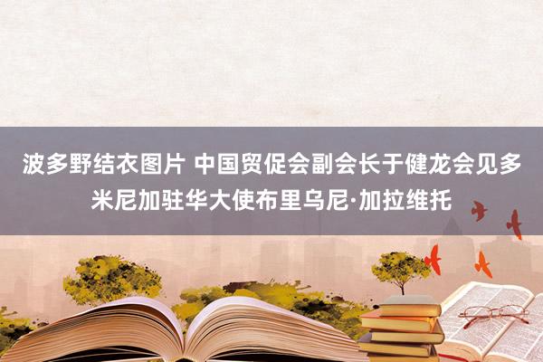 波多野结衣图片 中国贸促会副会长于健龙会见多米尼加驻华大使布里乌尼·加拉维托