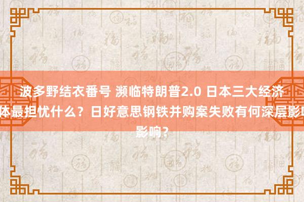 波多野结衣番号 濒临特朗普2.0 日本三大经济团体最担忧什么？日好意思钢铁并购案失败有何深层影响？