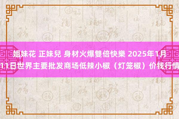 姐妹花 正妹兒 身材火爆雙倍快樂 2025年1月11日世界主要批发商场低辣小椒（灯笼椒）价钱行情