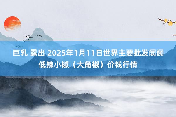 巨乳 露出 2025年1月11日世界主要批发阛阓低辣小椒（大角椒）价钱行情