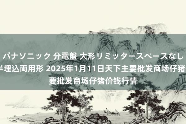 パナソニック 分電盤 大形リミッタースペースなし 露出・半埋込両用形 2025年1月11日天下主要批发商场仔猪价钱行情