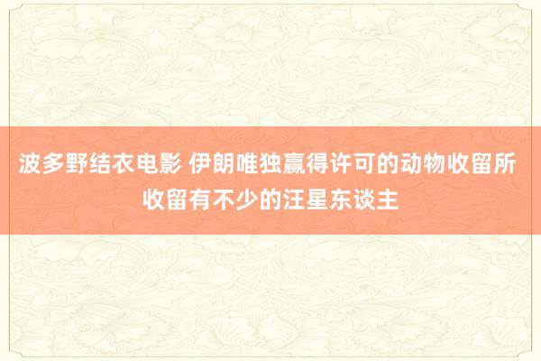 波多野结衣电影 伊朗唯独赢得许可的动物收留所 收留有不少的汪星东谈主