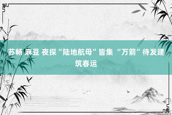 苏畅 麻豆 夜探“陆地航母”皆集 “万箭”待发建筑春运