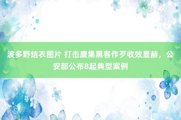 波多野结衣图片 打击麇集黑客作歹收效显赫，公安部公布8起典型案例