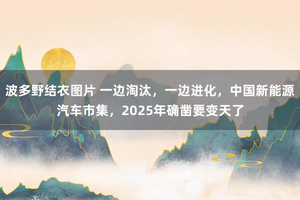 波多野结衣图片 一边淘汰，一边进化，中国新能源汽车市集，2025年确凿要变天了