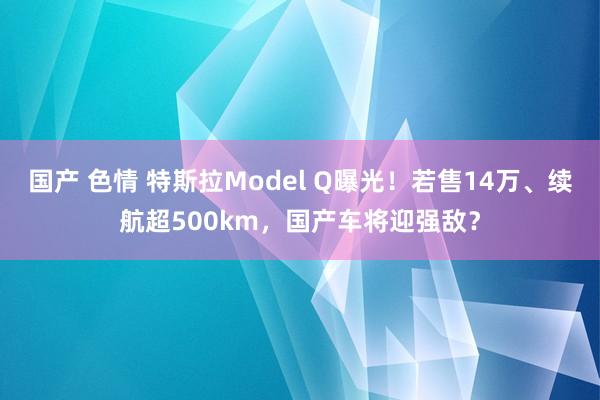 国产 色情 特斯拉Model Q曝光！若售14万、续航超500km，国产车将迎强敌？