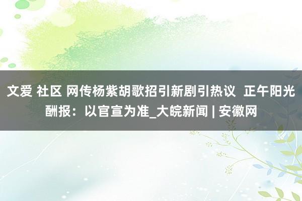 文爱 社区 网传杨紫胡歌招引新剧引热议  正午阳光酬报：以官宣为准_大皖新闻 | 安徽网